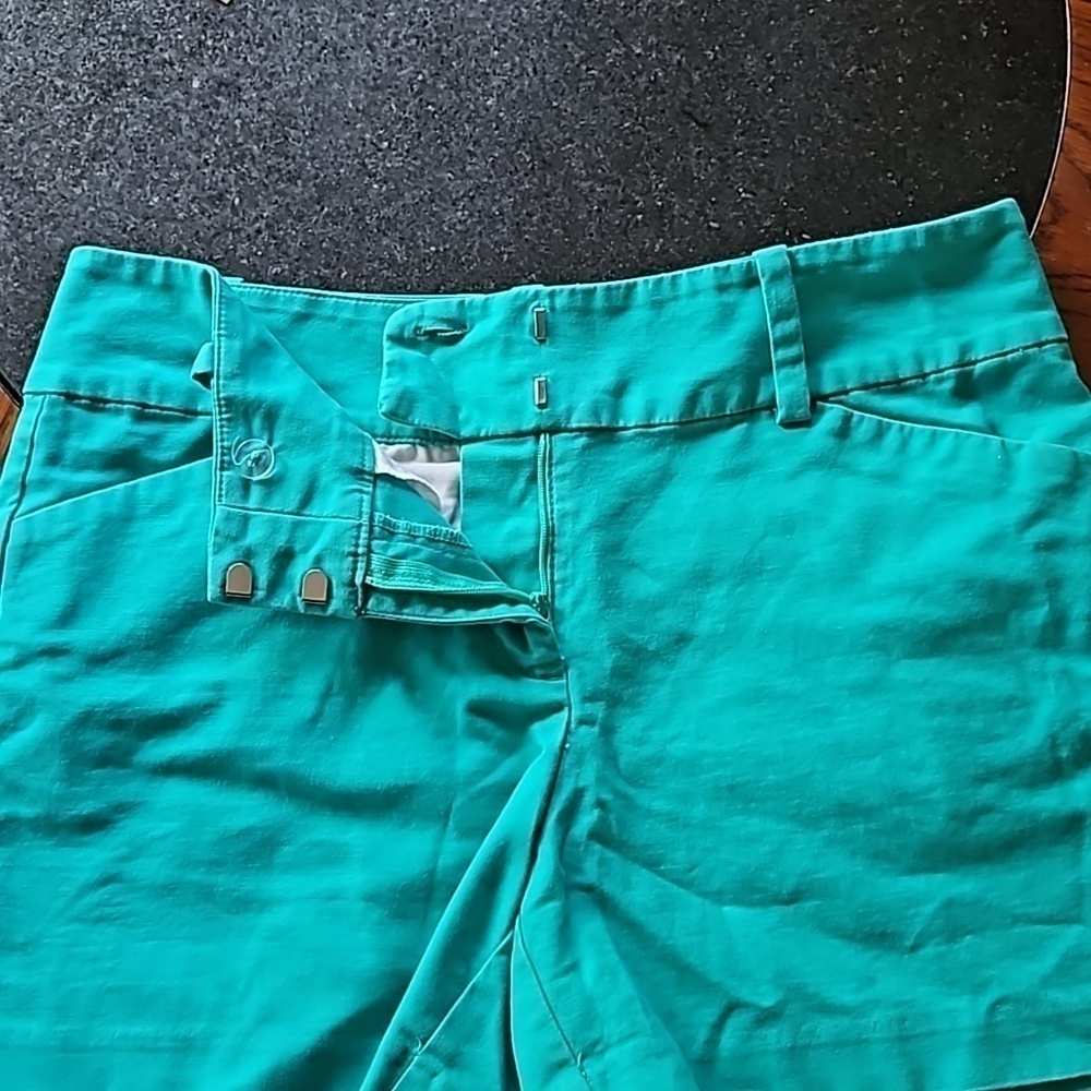 Ann Taylor Signature Green Cotton Stretch 4" Flat Front Shorts Size 6 - Picture 5 of 11